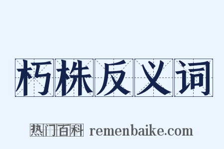 朽株反义词是什么意思的图片